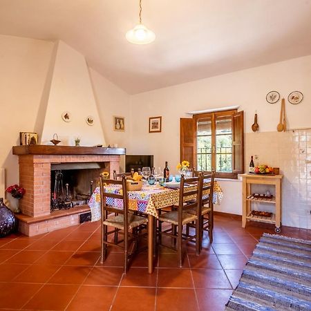 Pensjonat Al Giardino Degli Ulivi Santa Maria Albiano Zewnętrze zdjęcie