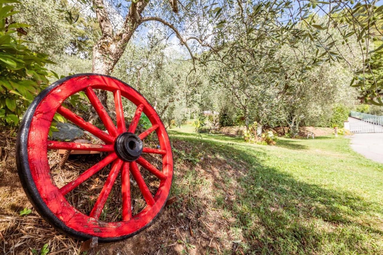 Pensjonat Al Giardino Degli Ulivi Santa Maria Albiano Zewnętrze zdjęcie