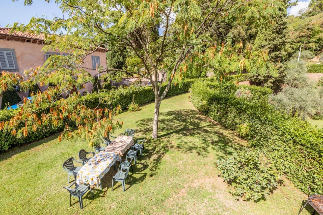 Pensjonat Al Giardino Degli Ulivi Santa Maria Albiano Zewnętrze zdjęcie